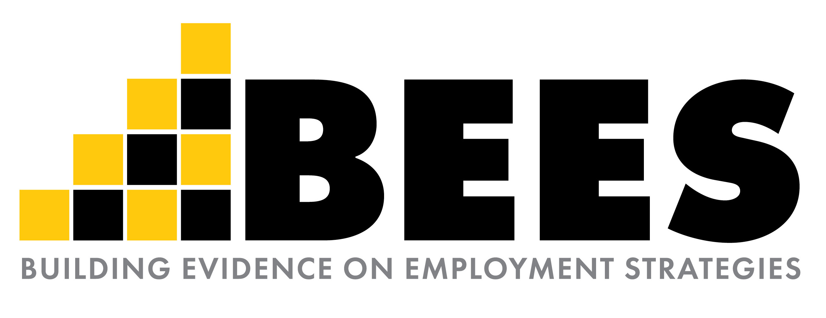 BEES: Building Evidence on Employment Strategies