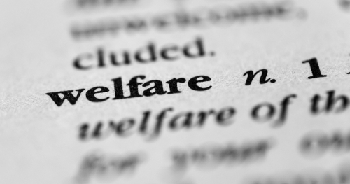 Close-up of the definition of 'welfare' in a dictionary