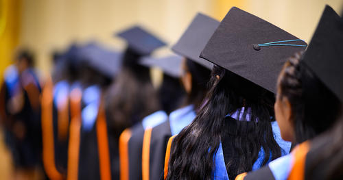 Line of college graduates in cap and gown, shown from the back