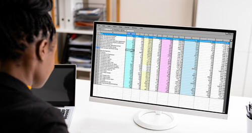 Woman reviews data in a spreadsheet on a computer screen