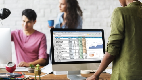 a women in front of the computer with data table in it