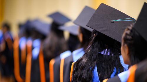 Line of college graduates in cap and gown, shown from the back
