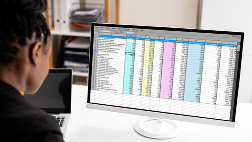Woman reviews data in a spreadsheet on a computer screen
