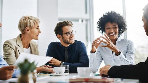 Diverse team members in office collaborate in a meeting