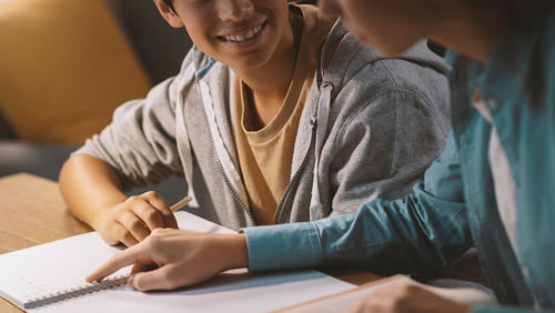 A boy is studying with a tutor