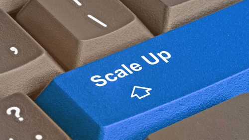 Close-up of a computer key that reads "Scale Up"