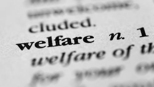 Close-up of the definition of 'welfare' in a dictionary